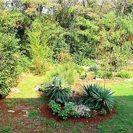 Jelena Lejlighed Poreč