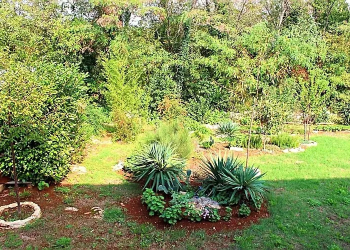 Jelena Apartment Porec